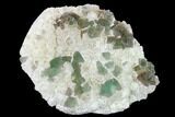 Green, Octahedral Fluorite Crystals on Quartz - China #147070-1